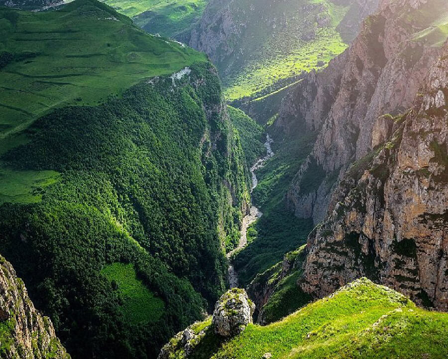 guba (1)